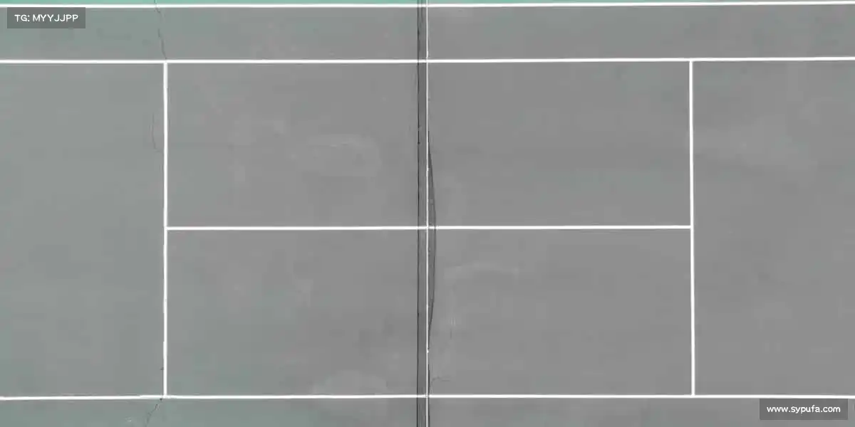 行业领先的理由